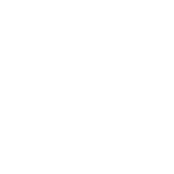 Seedance video model icon