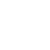 Wan video model icon